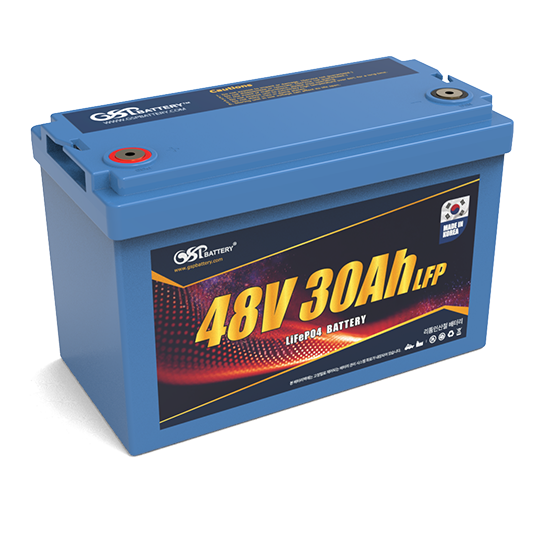 48V 30Ah_01