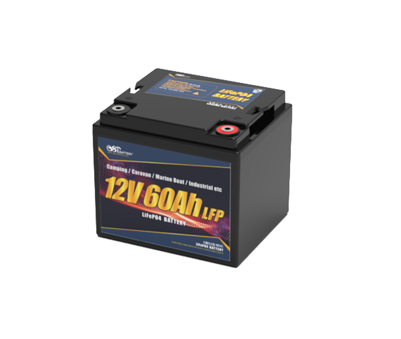 LFP 12V 60A