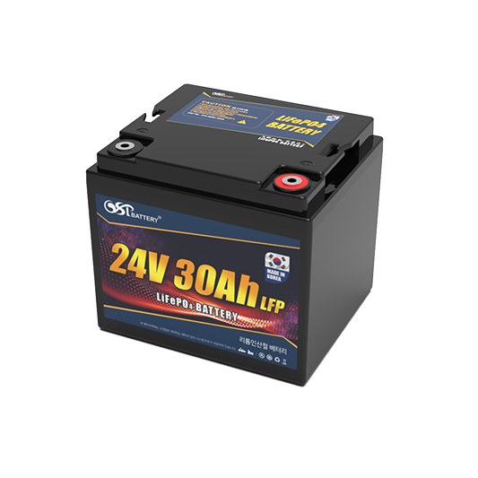 LFP 24V 30Ah