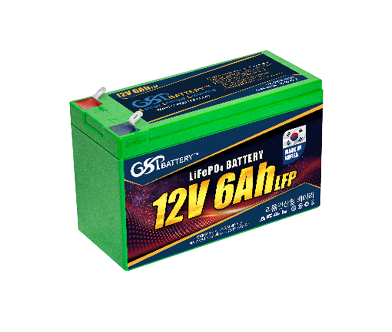 LFP 12V 6A
