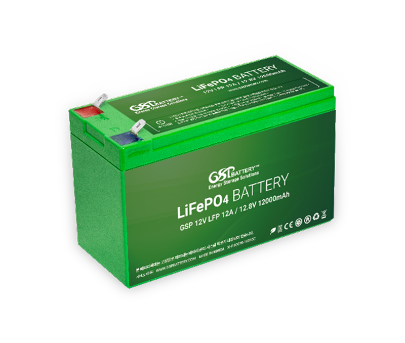 LFP 12V 12A